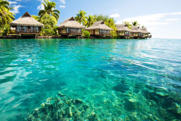 www.mittalvacations.com